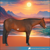 Horse Color:Bay Splash Frame Rabicano 