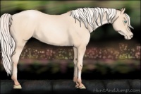 Horse Color:Silver Sable Cream Champagne Pearl 