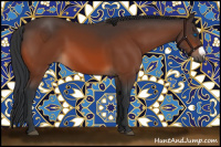 Horse Color:Bay Frame Rabicano 