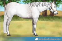 Horse Color:Gray Silver Black Pearl Tobiano 