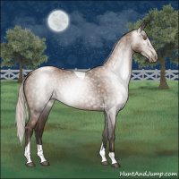 Horse Color:Gray Silver Black Pearl Tobiano 