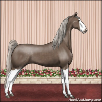 Horse Color:Silver Black Splash