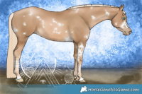 Horse Color:White Spotted Chocolate Palomino Pearl Rabicano 