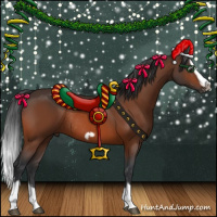 Horse Color:Bay Splash Frame Rabicano 