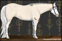Horse Color:Cremello Splash  and Cremello Splash 