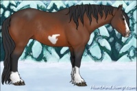 Horse Color:Bay Splash Frame Rabicano 