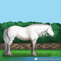 Horse Color:Gray Sable Champagne 