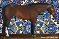 Horse Color:Gray Bay 