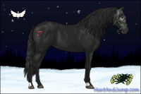Horse Color:Gray Black 