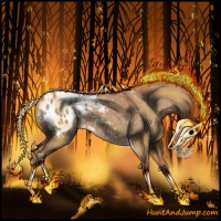 Horse Color:Red Roan Splash Appaloosa 