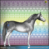 Horse Color:Gray White Spotted Black 