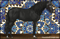 Horse Color:Gray Smoky Black 