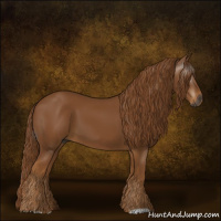 Horse Color:Gray Chestnut 