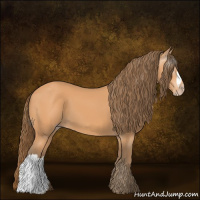 Horse Color:Gray Perlino 