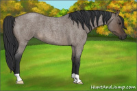 Horse Color:Brown Roan Dun 