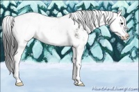 Horse Color:Grullo Sabino Splash 