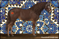 Horse Color:Gray Chestnut 