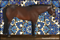 Horse Color:Gray Bay 