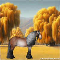 Horse Color:Gray Bay 