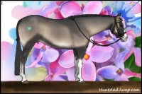 Horse Color:Blue Onyx 