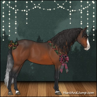 Horse Color:Bay Splash Rabicano 