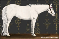 Horse Color:Cremello Roan Splash  and Cremello Roan Splash Frame