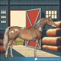 Horse Color:White Spotted Chocolate Palomino 