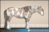 Horse Color:White Spotted Liver Red Dun Mushroom