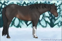 Horse Color:Brown 