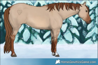 Horse Color:Red Dun 
