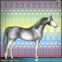 Horse Color:Gray White Spotted Black 
