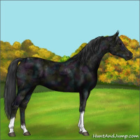 Horse Color:Midnight Black Ice Tobiano 