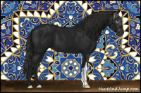 Horse Color:Gray Black 