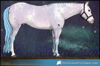 Horse Color:Watercolor White Spotted Bay Ice Dun Tobiano 