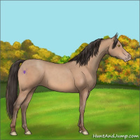 Horse Color:Amber Champagne 