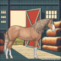 Horse Color:Gold Champagne Splash 