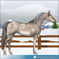 Horse Color:White Spotted Liver Red Dun Mushroom Tobiano 