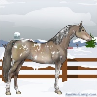 Horse Color:White Spotted Liver Red Dun Mushroom Tobiano 