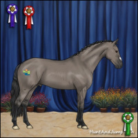 Horse Color:Grullo 