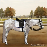Horse Color:Platinum Liver Chestnut Sabino Tobiano Rabicano