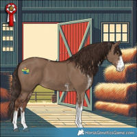 Horse Color:White Spotted Liver Red Dun Tobiano 