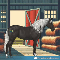 Horse Color:Liver Chestnut Mushroom 