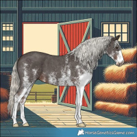 Horse Color:White Spotted Liver Chestnut Mushroom 