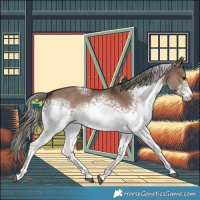 Horse Color:White Spotted Liver Red Dun Mushroom 