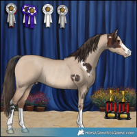 Horse Color:White Spotted Brown Rabicano and Sable Champagne Dun Rabicano