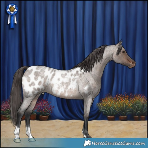 Horse Color:Brown Roan Dun Mushroom Appaloosa Rabicano 