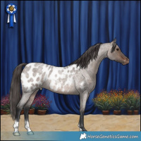 Horse Color:Brown Roan Dun Mushroom Blanket Rabicano 
