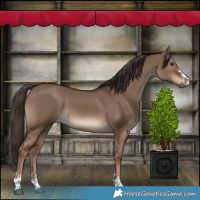 Horse Color:Liver Red Dun 