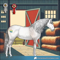 Horse Color:Gray White Spotted Bay Onyx 