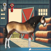 Horse Color:Gray White Spotted Bay Onyx 